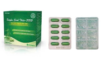 Xuyên Sinh Thảo - PPP giảm ho, đau rát họng